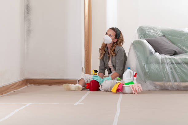 Reliable Mold Inspection contractor in Bryn Mawr, PA by WQB Mold Removal